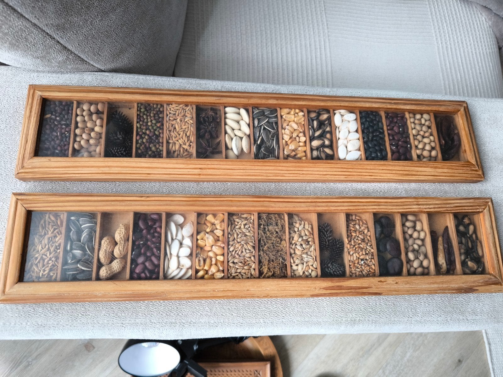 Set van 2 houten vitrine wanddecoraties met zaden en granen, Bijen