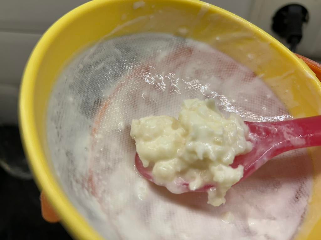 Melk kefir korrels, Diversen, Levensmiddelen, Ophalen of Verzenden