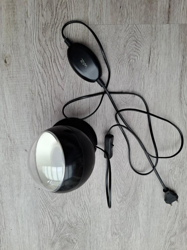Te koop WiZ zwarte bollamp, Ophalen of Verzenden, Zo goed als nieuw, Vloerspot of Grondspot