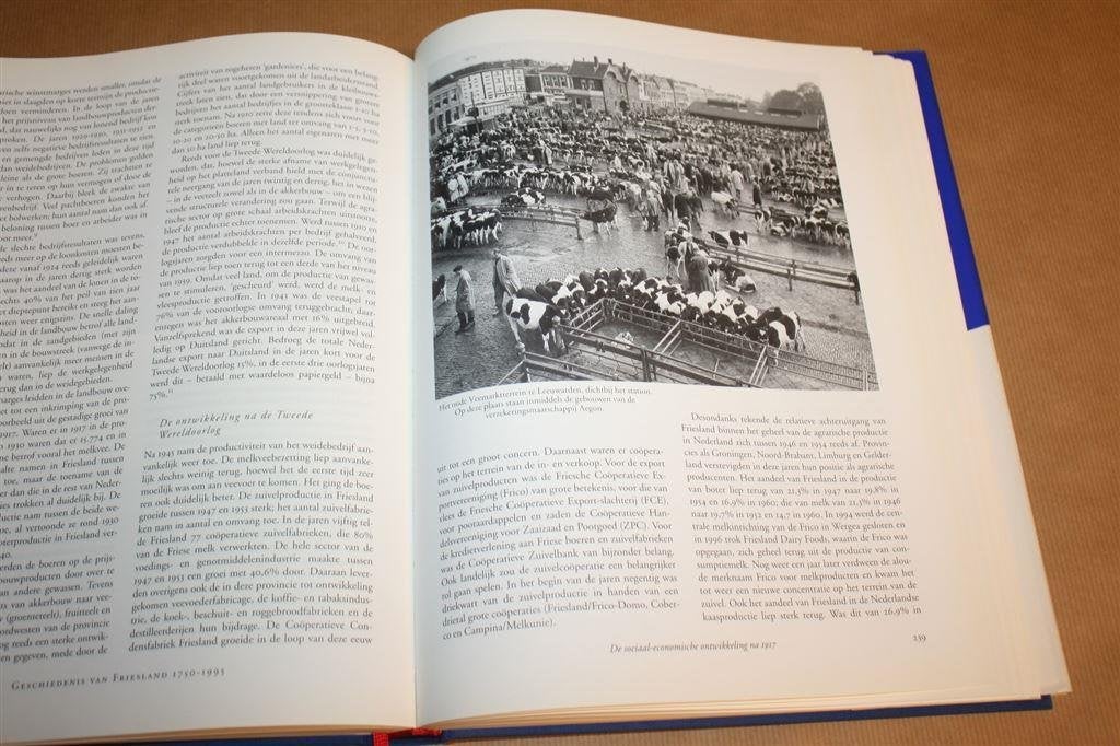 Geschiedenis van Friesland, 1750-1995, Boeken, Ophalen of Verzenden, Gelezen