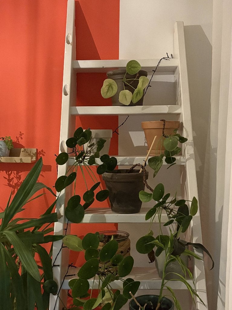 Witte houten siertrap / plantenrek, Ophalen, Gebruikt