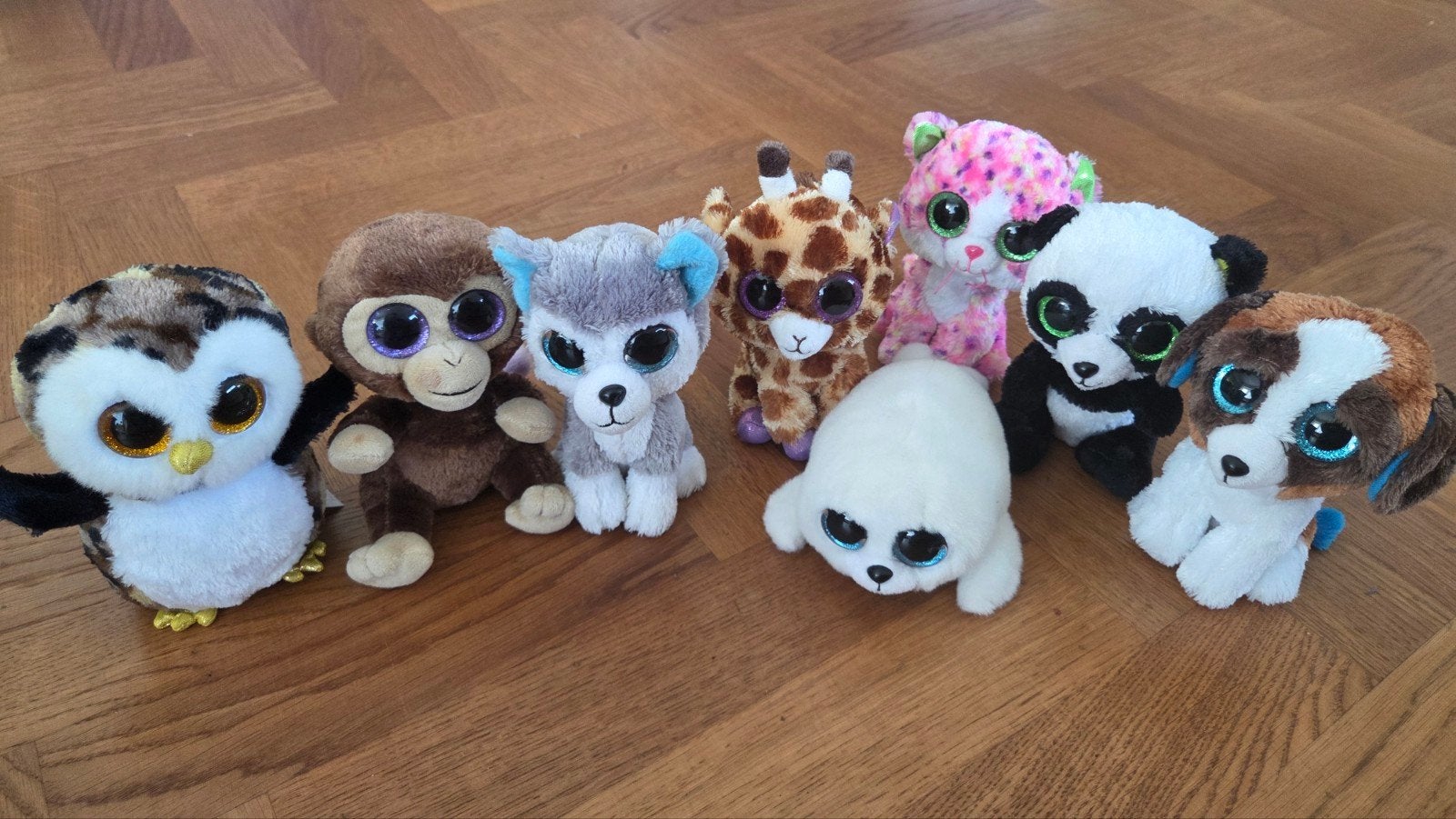 Grote collectie Ty Beanie Boo's knuffels, Ophalen of Verzenden, Meerkleurig, Klein (minder dan 20 cm), Met label