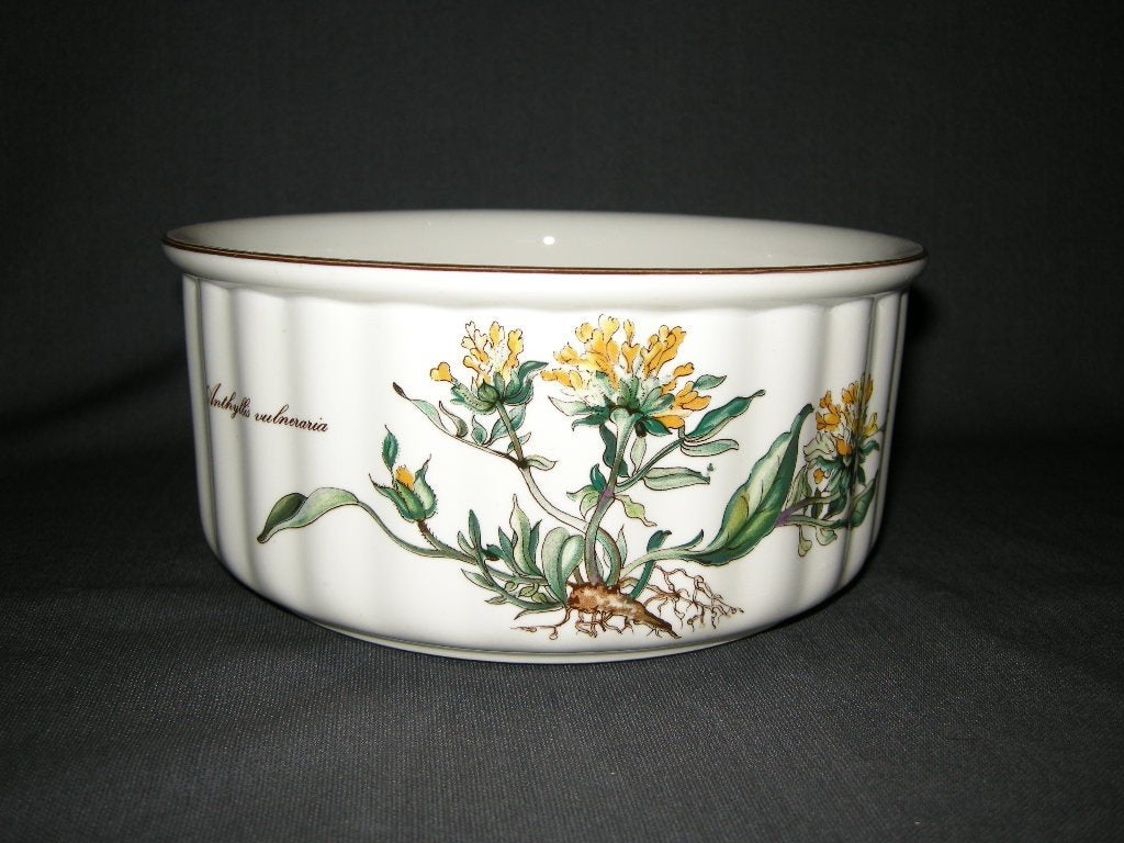 Villeory & Boch Botanica Vilbofour oven- en souffleschalen, Villeroy & Boch, Ophalen of Verzenden, Overige stijlen, N.v.t.