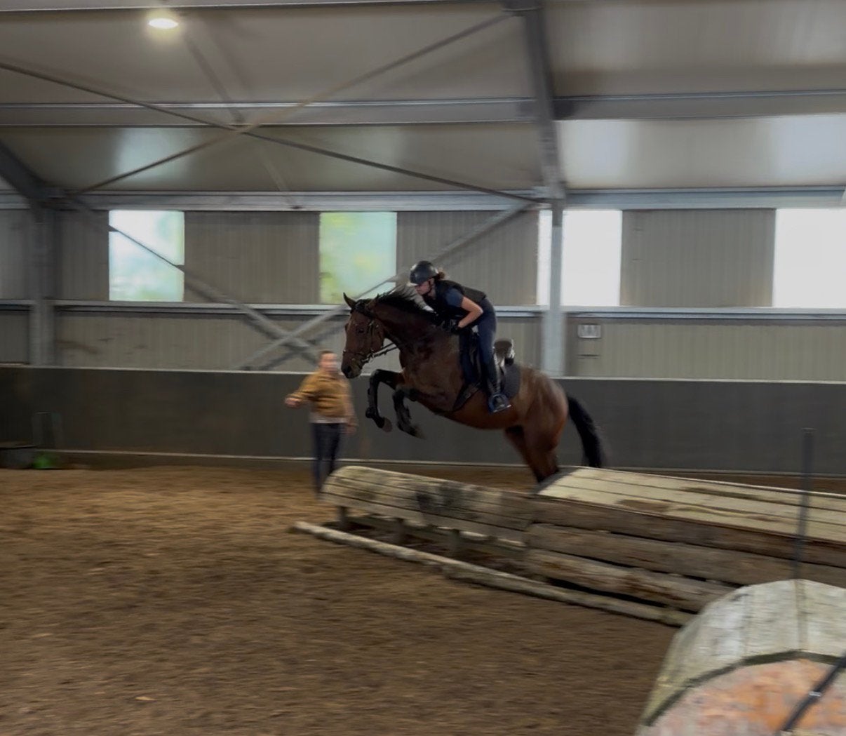 3-jarige hengst met protentie voor een eventing, Dieren en Toebehoren, Springpaard, Met stamboom, 3 tot 6 jaar, 160 tot 165 cm