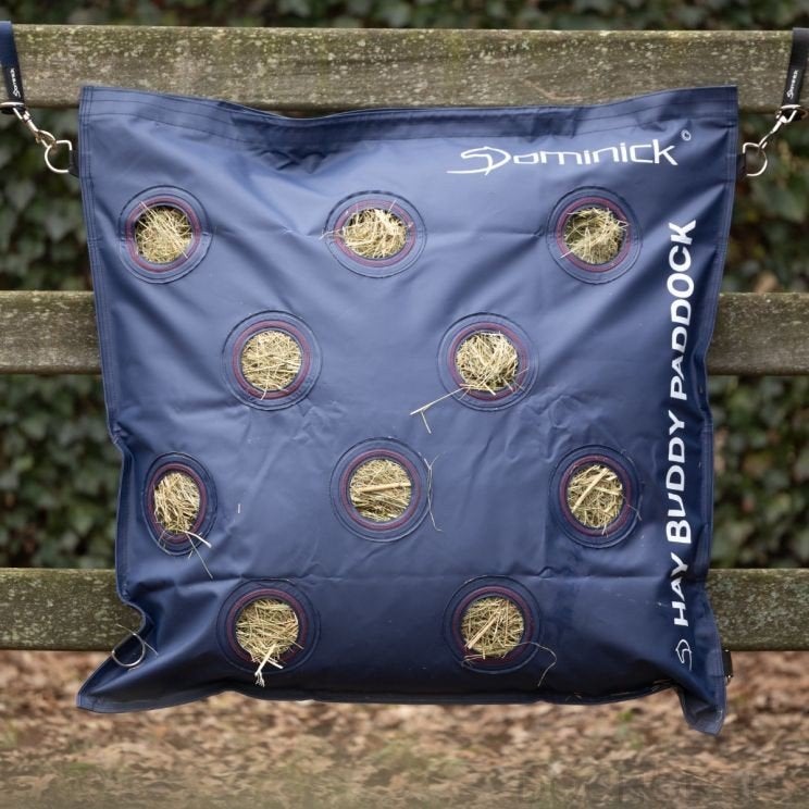 Dominick Hay Buddy Paddock, Ophalen of Verzenden, Nieuw, Overige typen