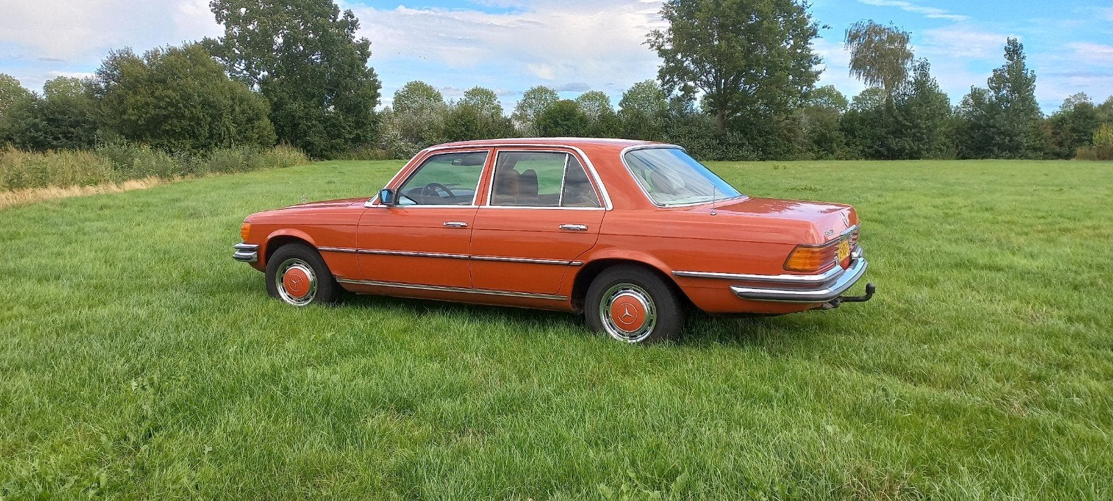 Mercedes-Benz Mercedes 1978, foto 3