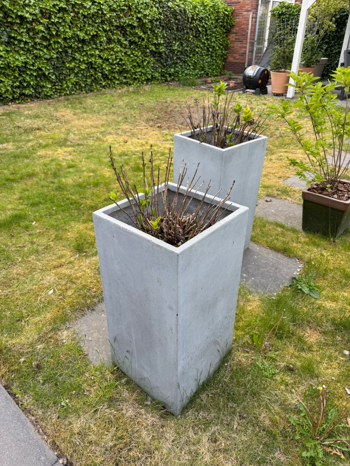 Hortensia’s in vierkant hoge potten, Tuin en Terras, Ophalen, Zo goed als nieuw, Vierkant