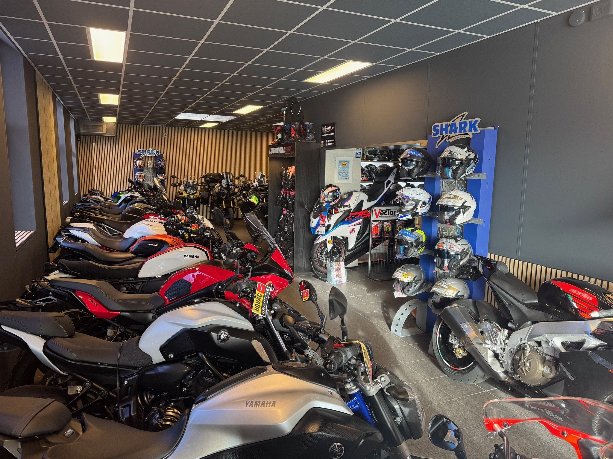 Aprilia TUONO 1000R RSV V2 (bj 2003), Motoren, Motoren | Aprilia, Bedrijf, Meer dan 35 kW, 998 cc, Naked bike