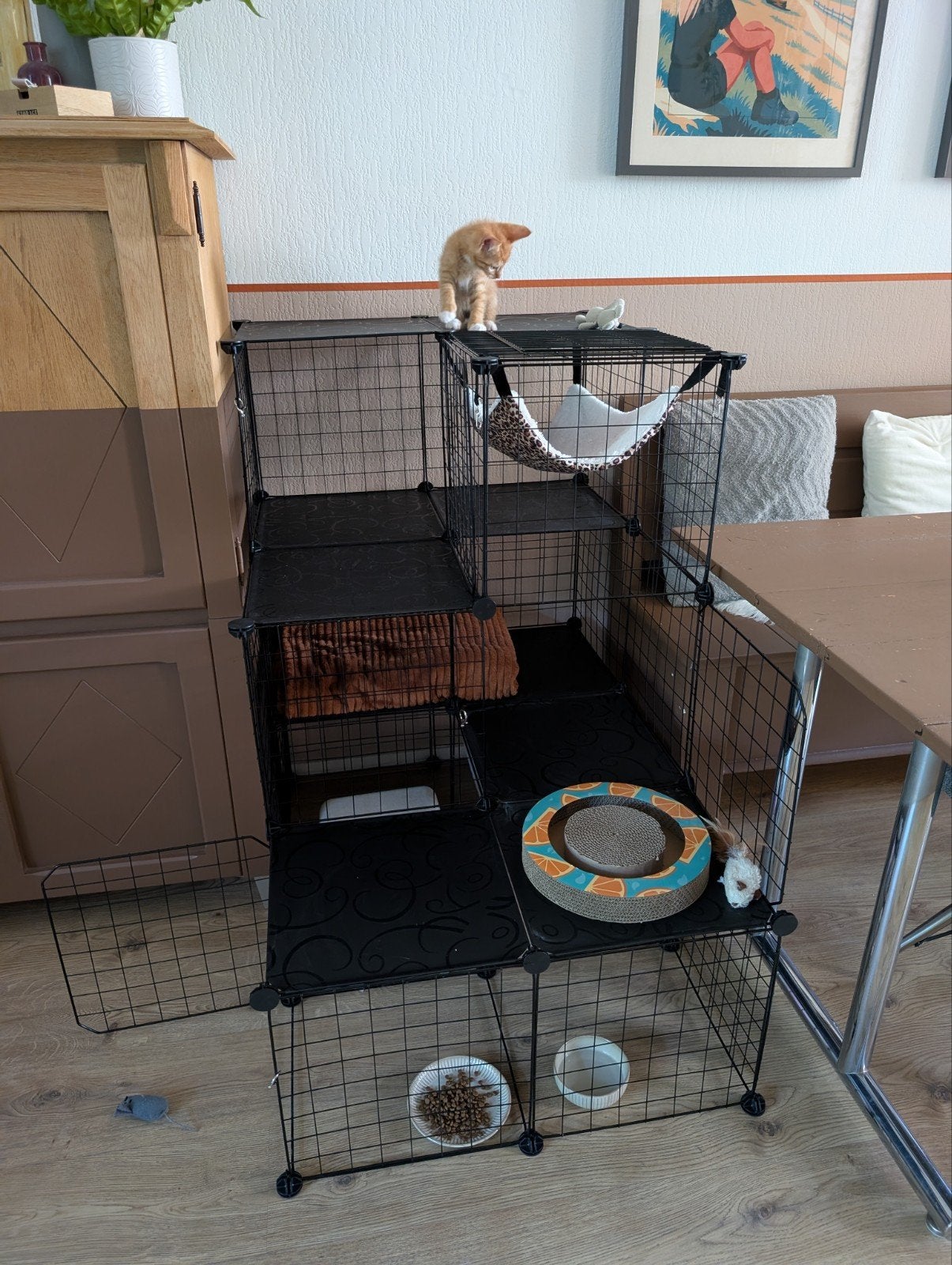 Kitten bench met toebehoren, Ophalen, Zo goed als nieuw