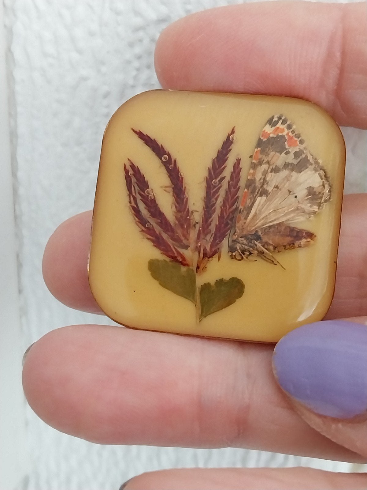 Vintage broche Lucite met gedroogde vlinder en plant #39113, Verzenden, Gebruikt, Minder dan 4 cm, Overige materialen