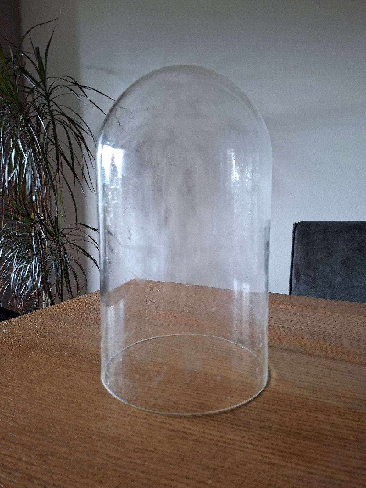 Glazen stolp - 30 cm hoog, 15 cm diameter, Huis en Inrichting, Glas, Ophalen, Gebruikt