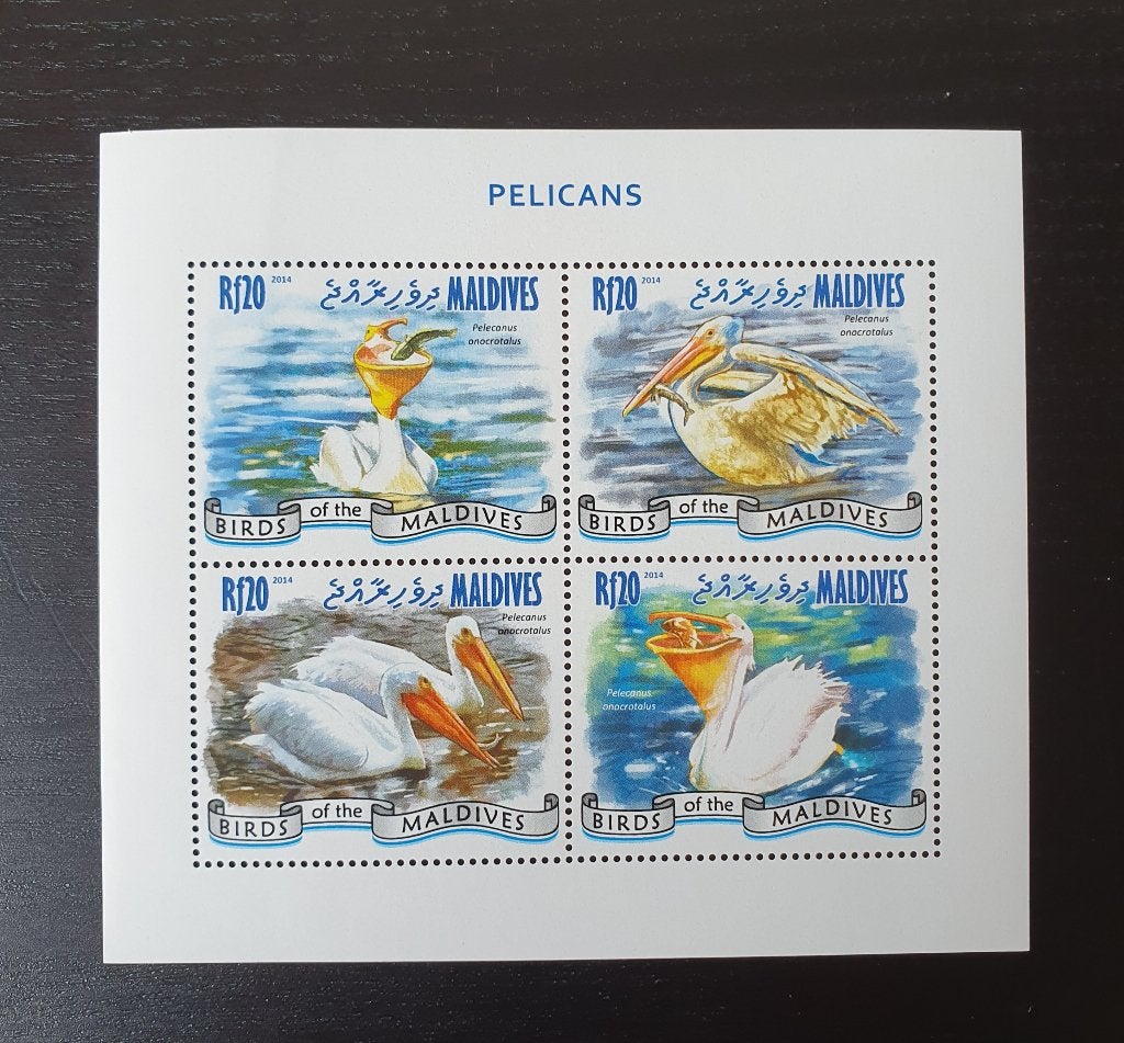 Malediven 2014 Vogels Pelikaan Michel 5485-5488 postfris, Postzegels en Munten, Verzenden, Postfris, Dier of Natuur