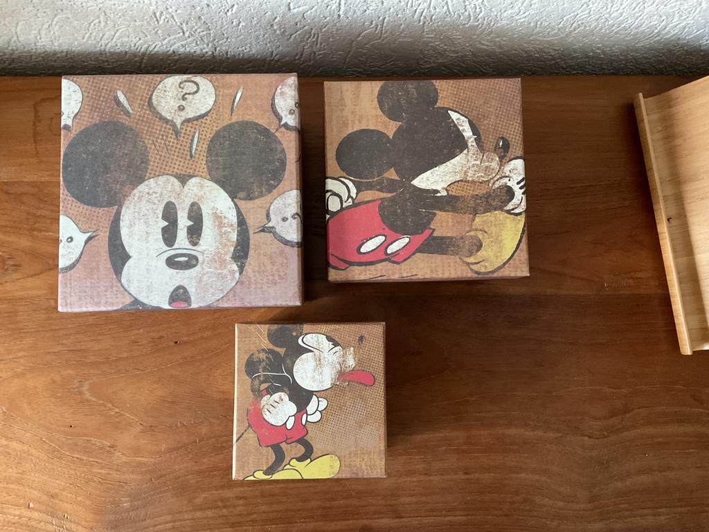 Mickey Mouse dozen, Ophalen of Verzenden, Mickey Mouse, Zo goed als nieuw, Beeldje of Figuurtje