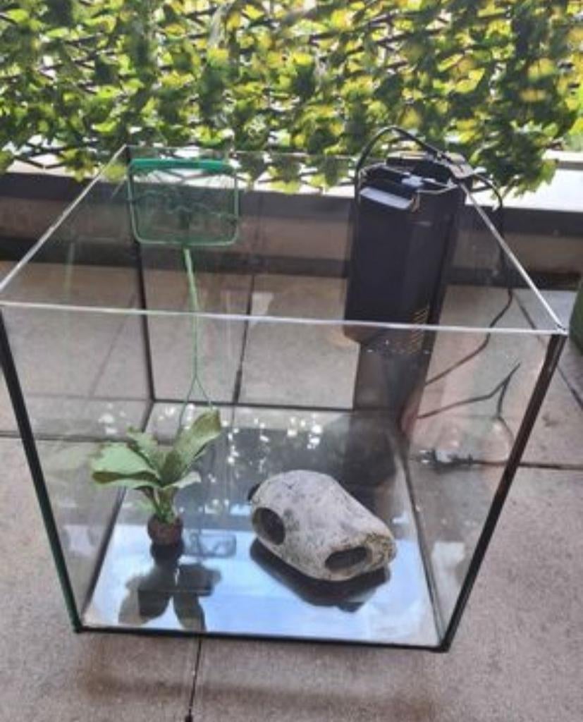 Aquarium, Ophalen
