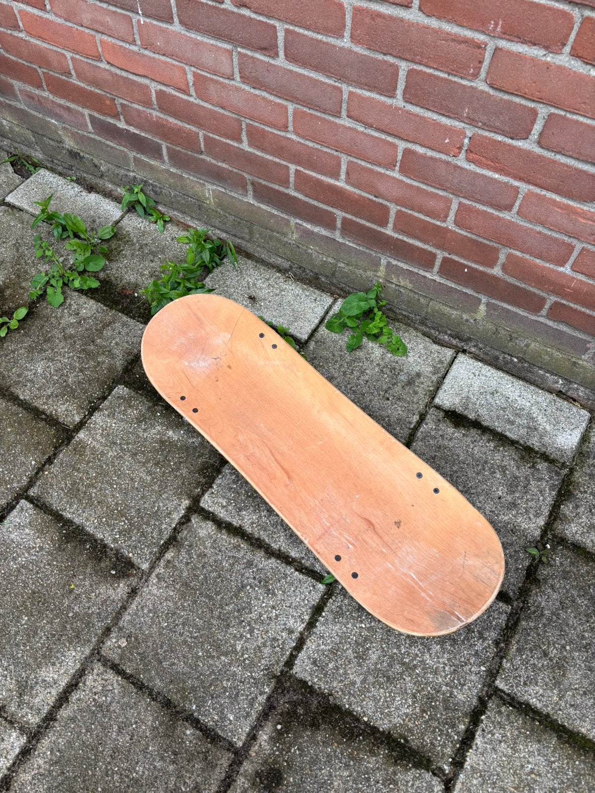 Skateboard met veel wielen, Sport en Fitness, Ophalen, Gebruikt, Skateboard