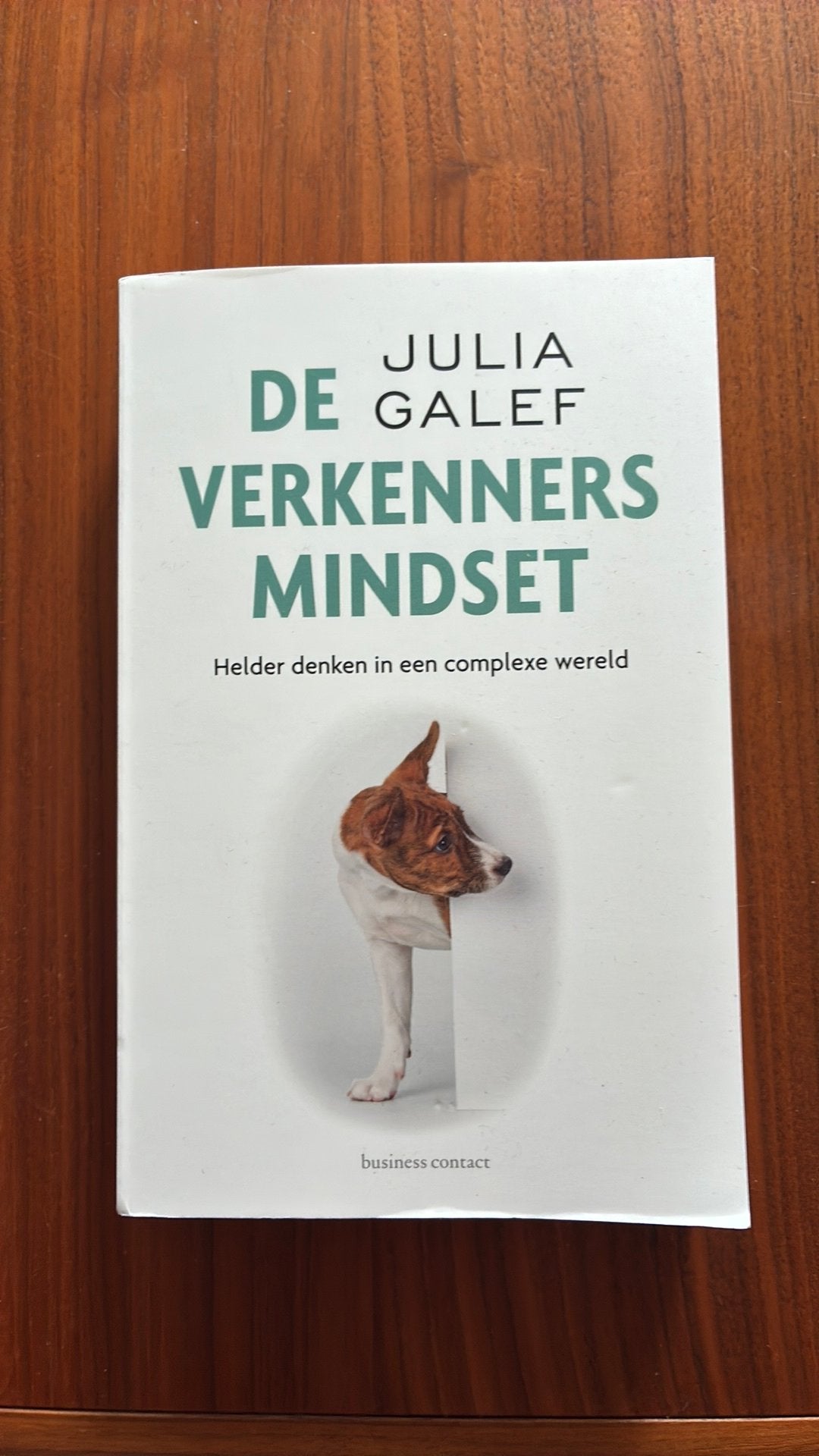 Julia Galef - De verkennersmindset, Boeken, Ophalen of Verzenden, Zo goed als nieuw, Julia Galef