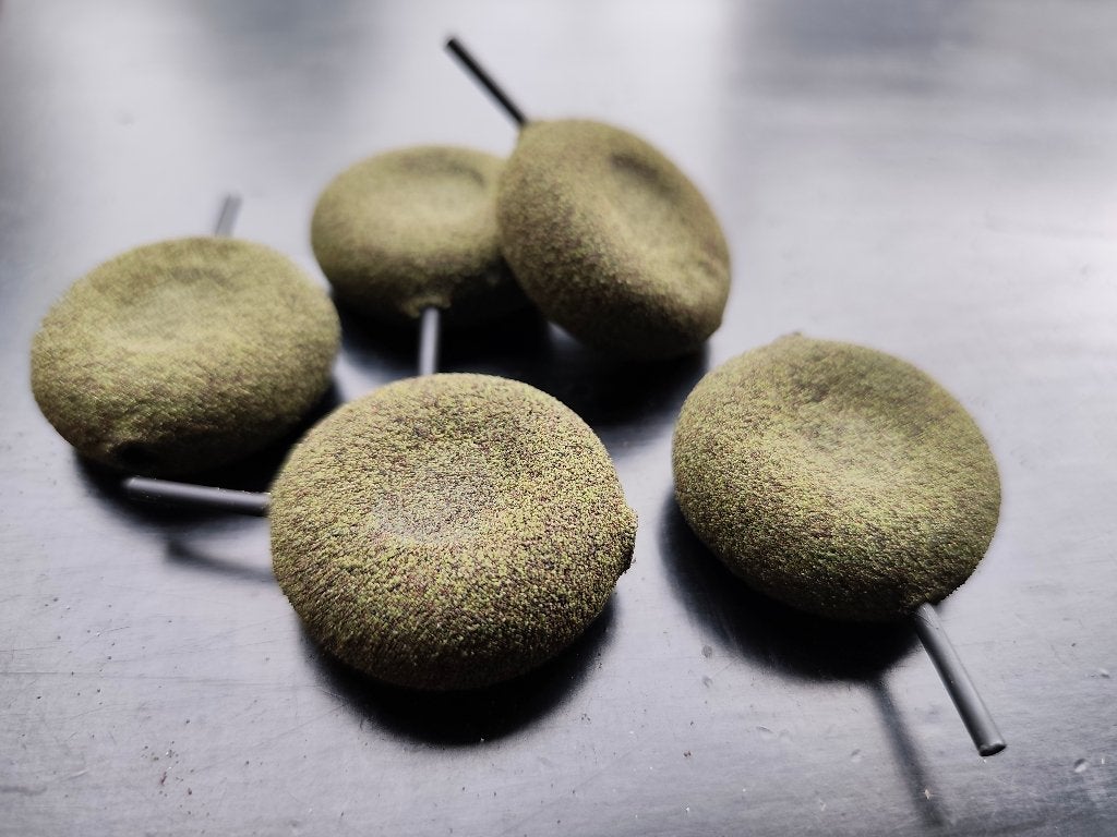 In-line donulood, Ophalen of Verzenden, Zo goed als nieuw, Dobber of Lood