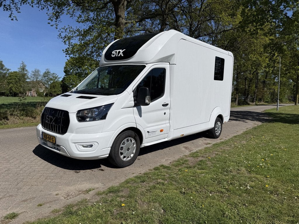 Ford Transit Ford Transit STX, 2023 automaat, pro-safety, mu, Dieren en Toebehoren, Paarden en Pony's | Trailers en Aanhangwagens