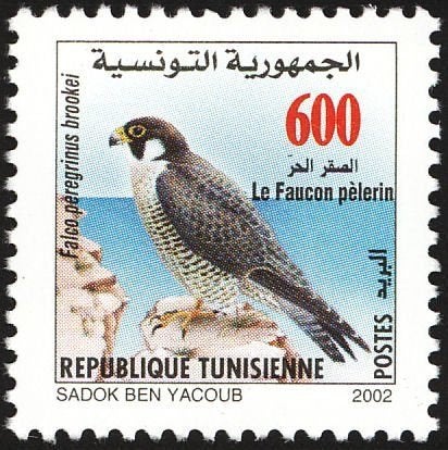 TUNESIË 24 - Dieren: vogels (slechtvalk), Verzenden, Postfris, Dier of Natuur