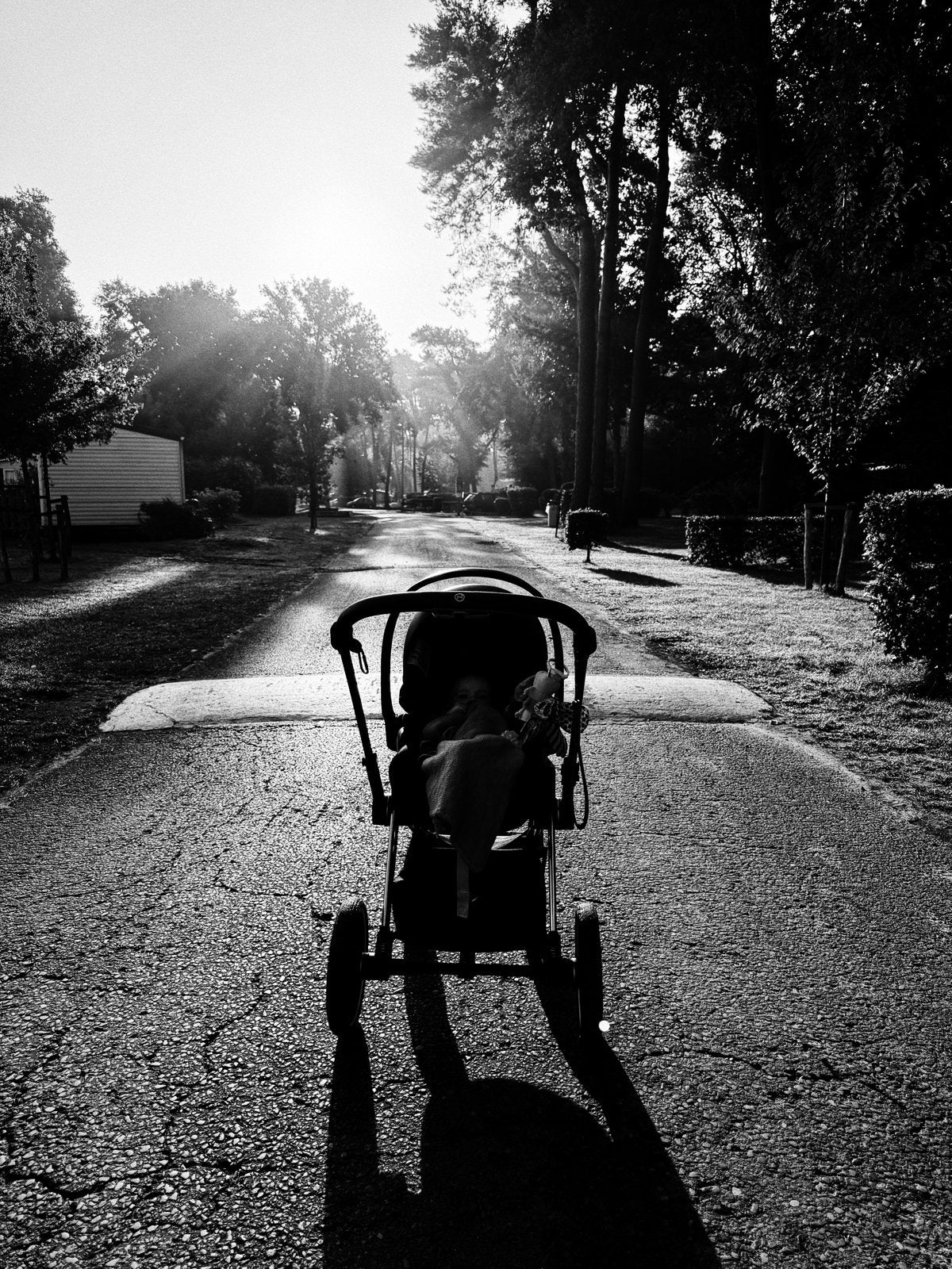 Cybex Priam 2 in gebruikte staat - klaar voor een tweede ron, Gebruikt, Combiwagen, Met reiswieg, Ophalen