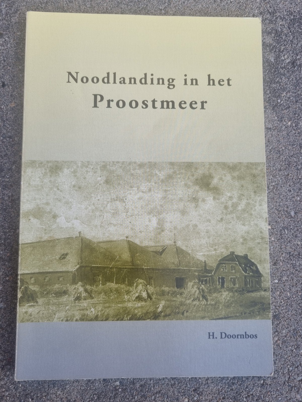 Noodlanding in het Proostmeer - H. Doornbos (1999), Boeken, Ophalen of Verzenden, 20e eeuw of later, Zo goed als nieuw, H. Doornbos