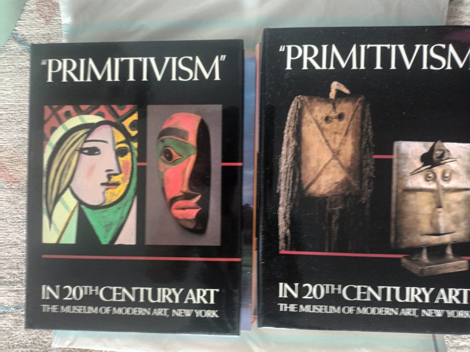 Primitivism in 20th Century Art - 2-delige set in foudraal, Ophalen of Verzenden, Zo goed als nieuw, Overige onderwerpen, William Rubin