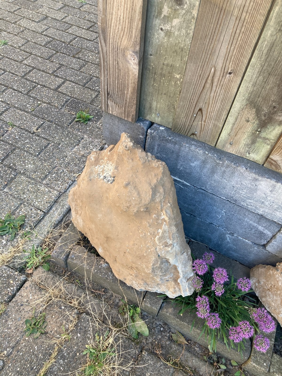 Decoratieve rots/kei voor tuin of vijver, Tuin en Terras, Ophalen of Verzenden