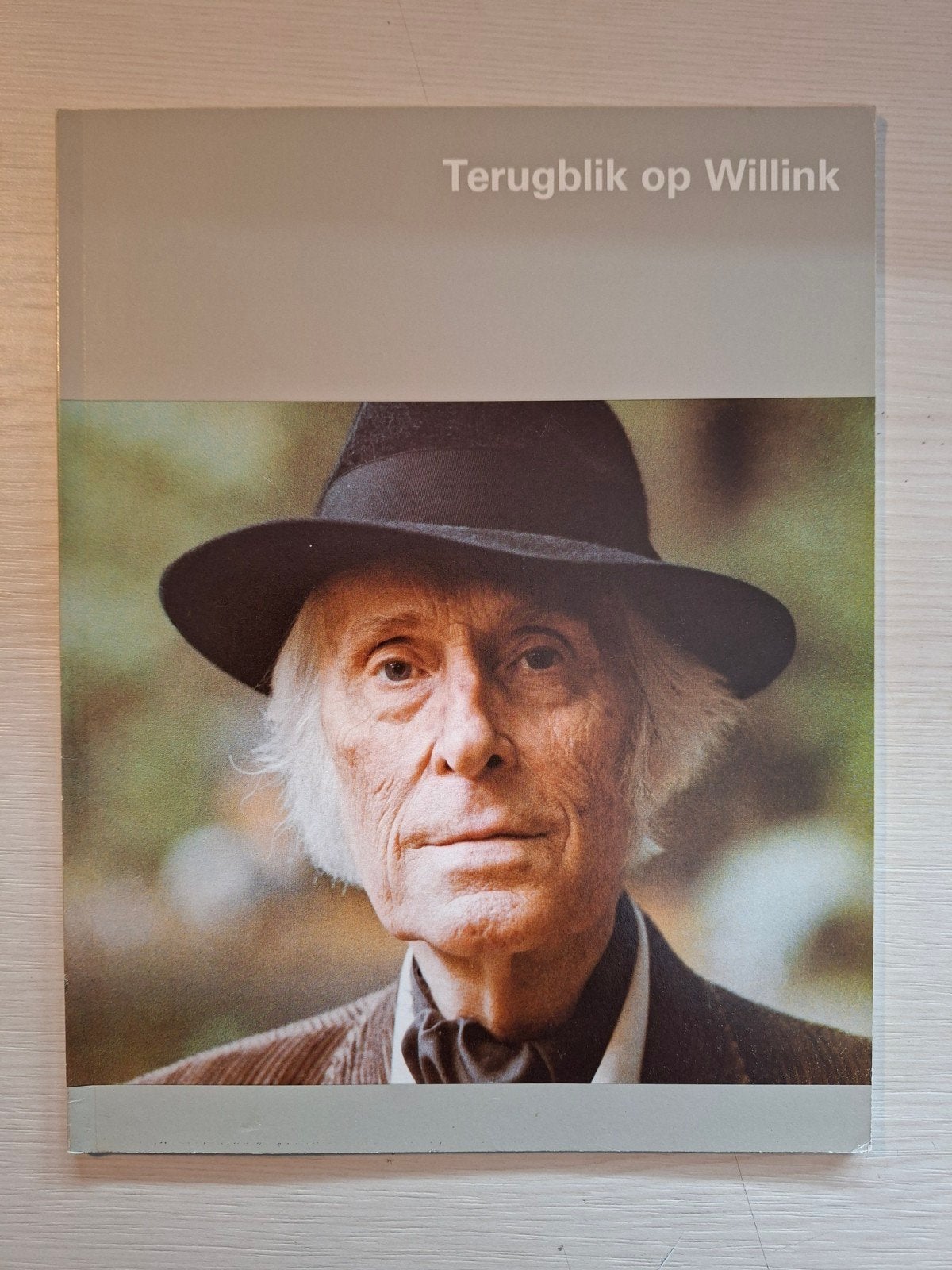 Terugblik op Willink - Boek over Carel Willink, Ophalen of Verzenden, Gelezen, Overige onderwerpen, Diverse auteurs