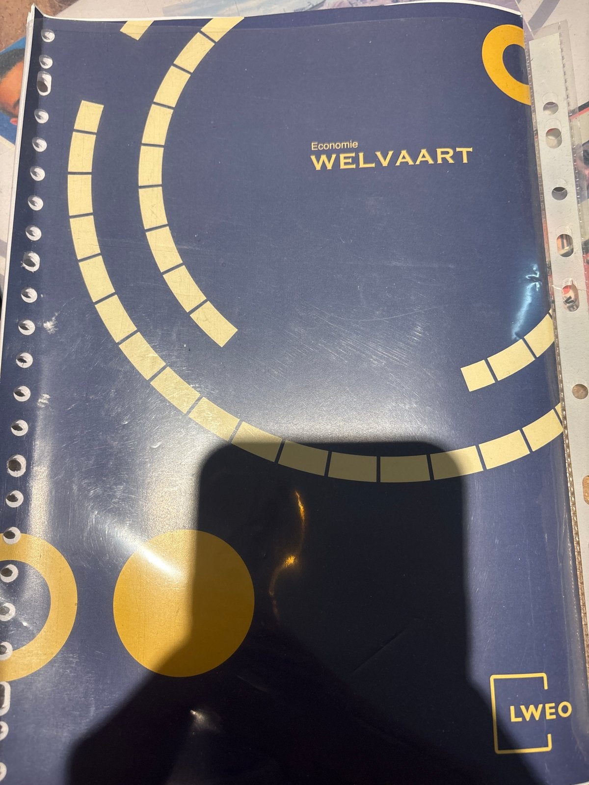 Economie Welvaart LWEO - Studieboek, Ophalen of Verzenden, Gamma, Gelezen, LBO