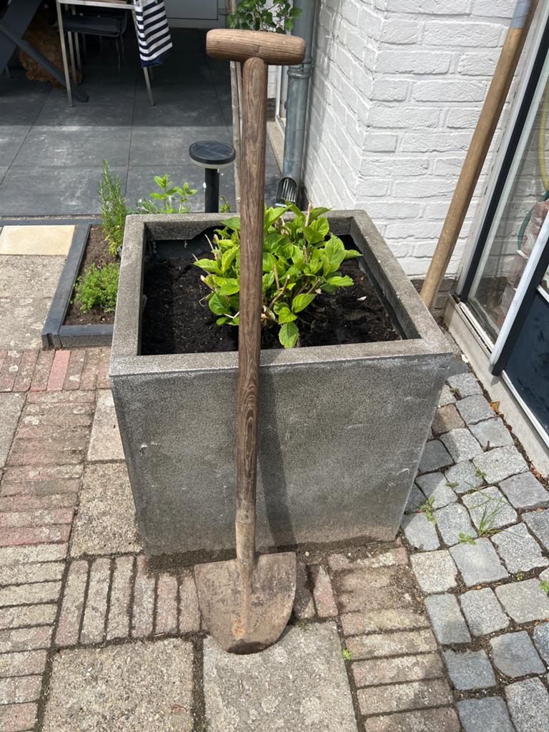 tuinschep met houten steel, Tuin en Terras, Hand-tuingereedschap, Ophalen, Gebruikt, Schop