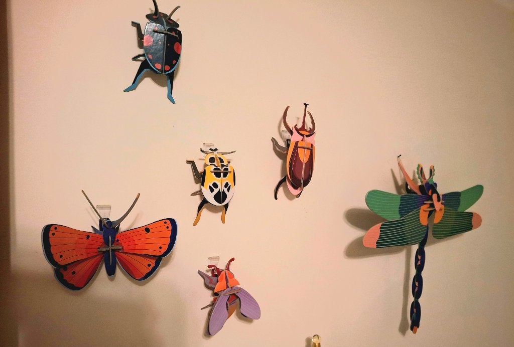 Insecten van Studuo ROOF, Papier/karton, Decoratieobject, Ophalen of Verzenden, Zo goed als nieuw