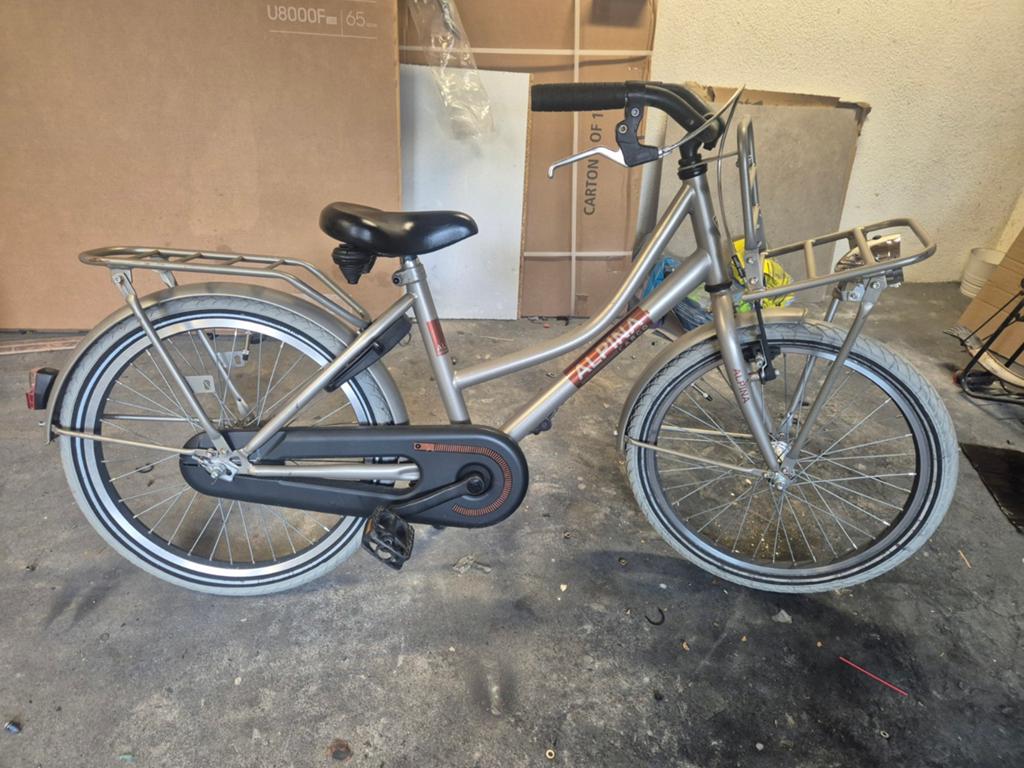Alpina 20 inch, Ophalen of Verzenden, Gebruikt, 20 inch, Handrem