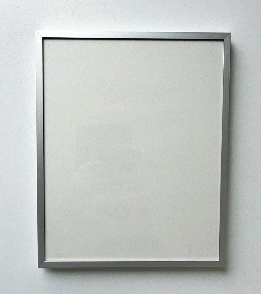Te koop: 2 hoogwaardige aluminium ‘BARTH-wissellijsten’., Huis en Inrichting, Woonaccessoires | Lijsten, Ophalen, Minder dan 50 cm