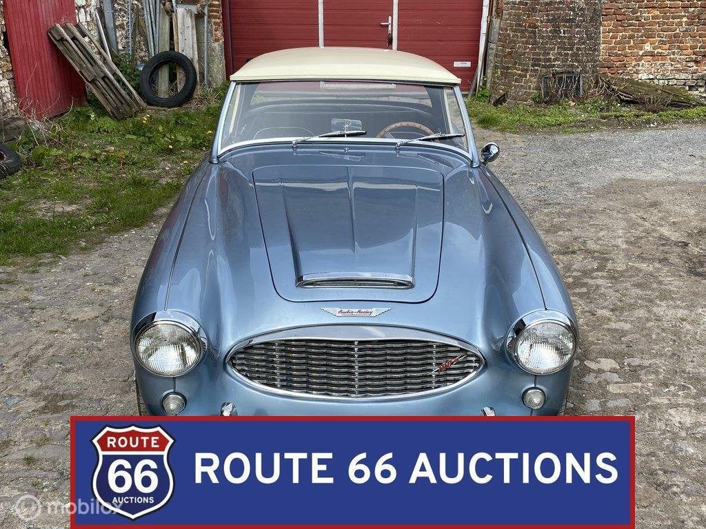 Austin-Healey 100-6 BN4 | 1957 | Route 66 Auctions, Auto's, Austin, Overige carrosserieën, Zwart, Bedrijf