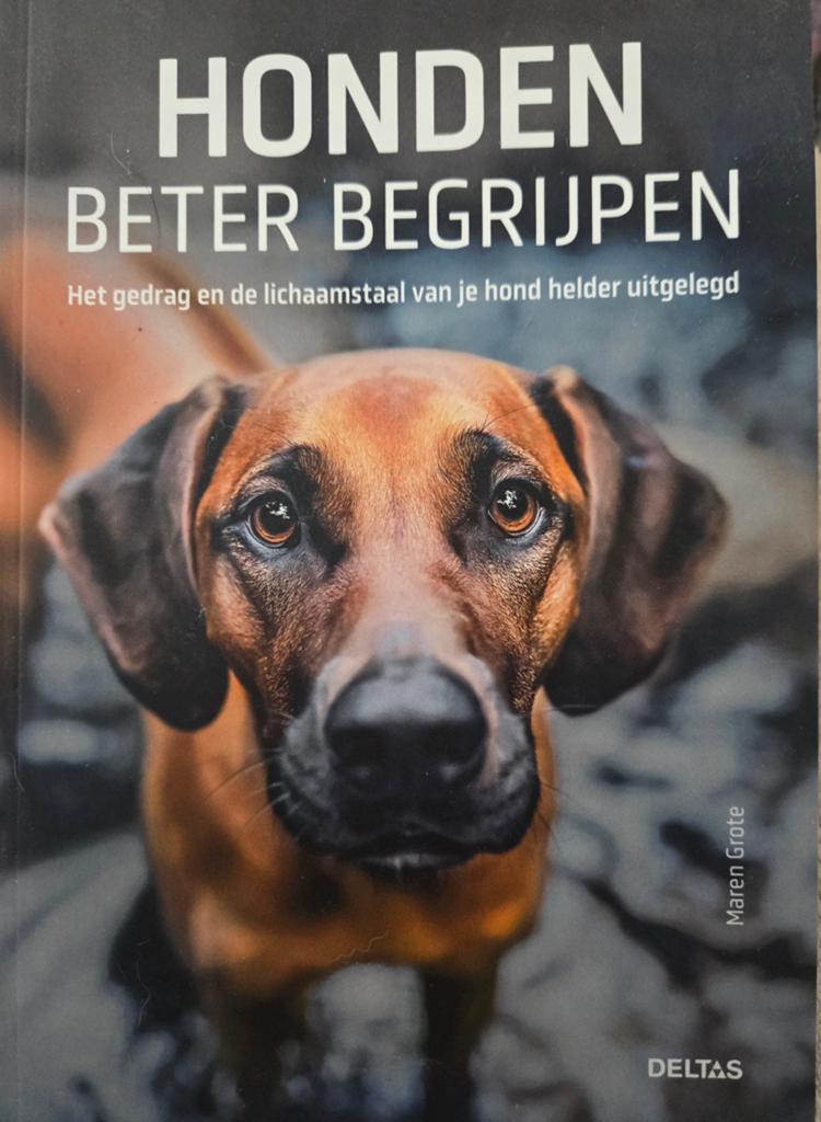 Honden beter begrijpen, Ophalen of Verzenden, Nieuw, Honden