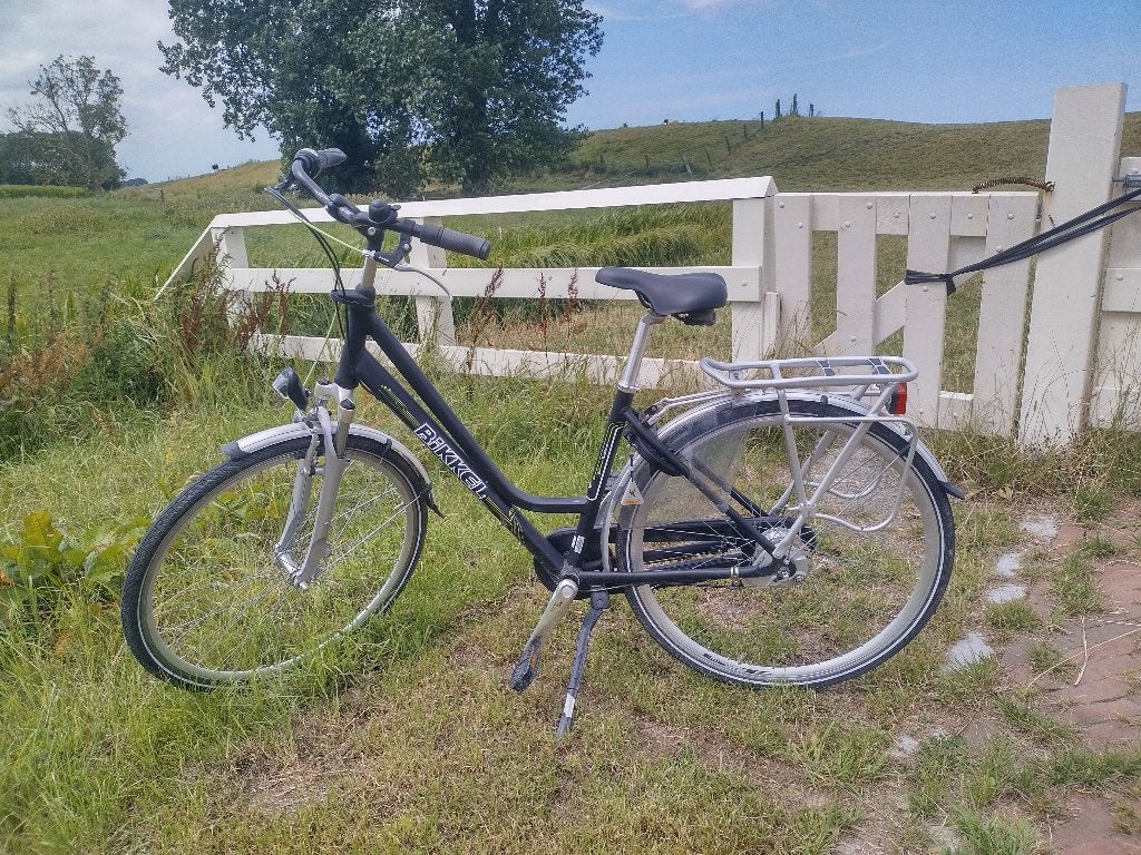 Damesfiets Bikkel, Gebruikt, Velgrem, Versnellingen, Minder dan 47 cm