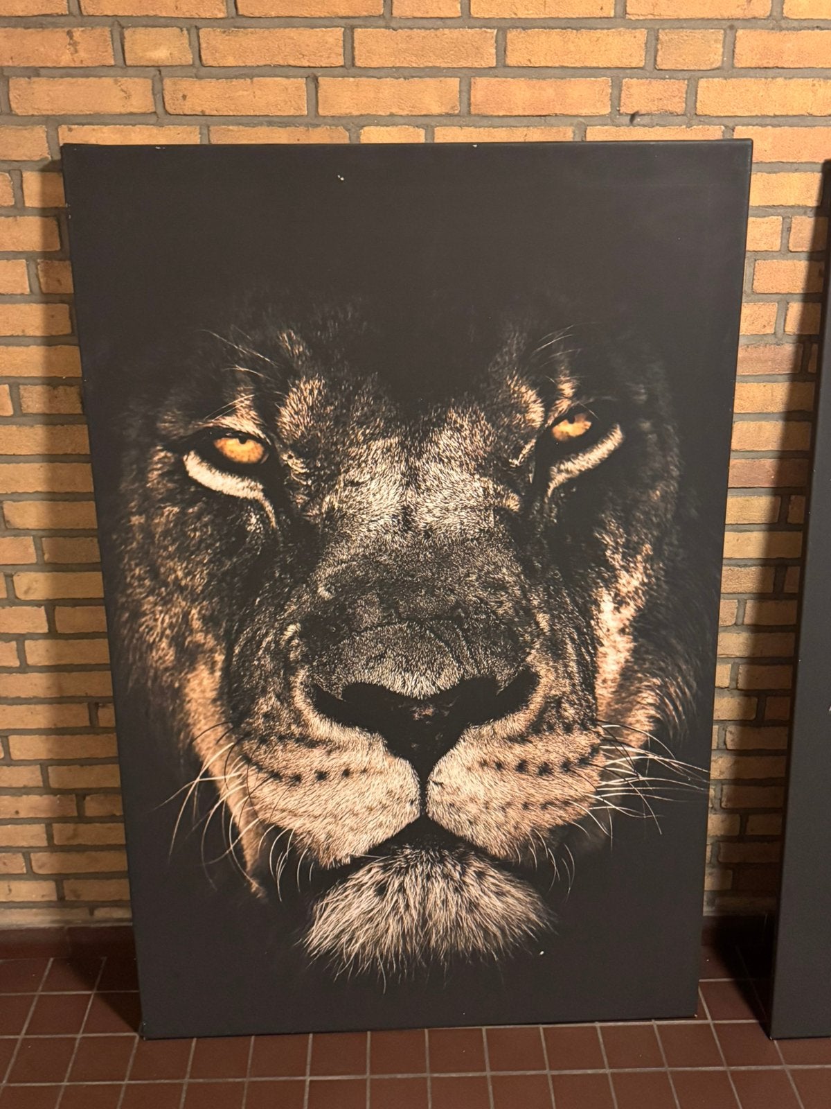 Canvas Poster/Portret, Ophalen, Zo goed als nieuw