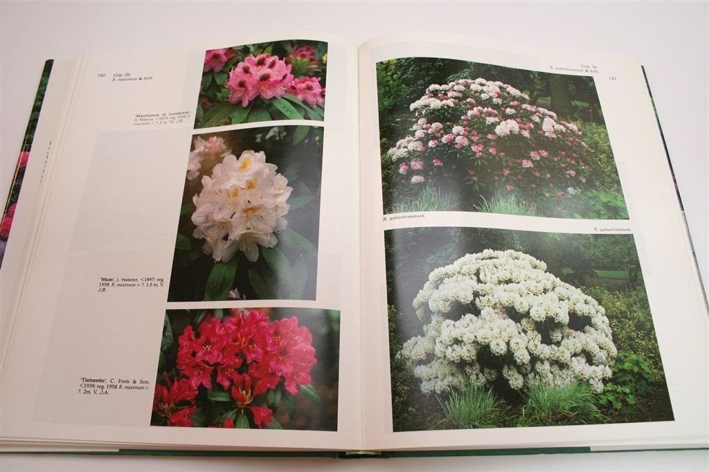 Rhododendron Atlas — Naslagwerk met meer dan 1000 Foto\'s, Ophalen of Verzenden, Zo goed als nieuw, Interieur en Design