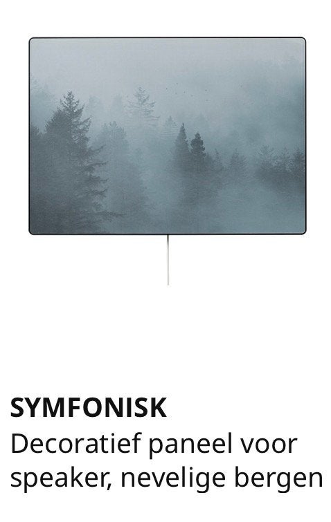 Gevraagd: Sonos IKEA SYMFONISK paneel, Ophalen of Verzenden, Zo goed als nieuw, Minder dan 60 watt, Sonos