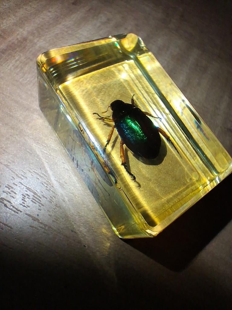 Echte metaalgroene kever in acryl/hars, Ophalen of Verzenden
