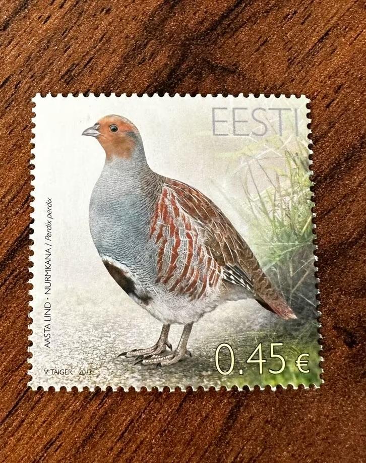 Estland 2013 Patrijs vogels postzegel postfris, Ophalen of Verzenden, Overige landen, Postfris