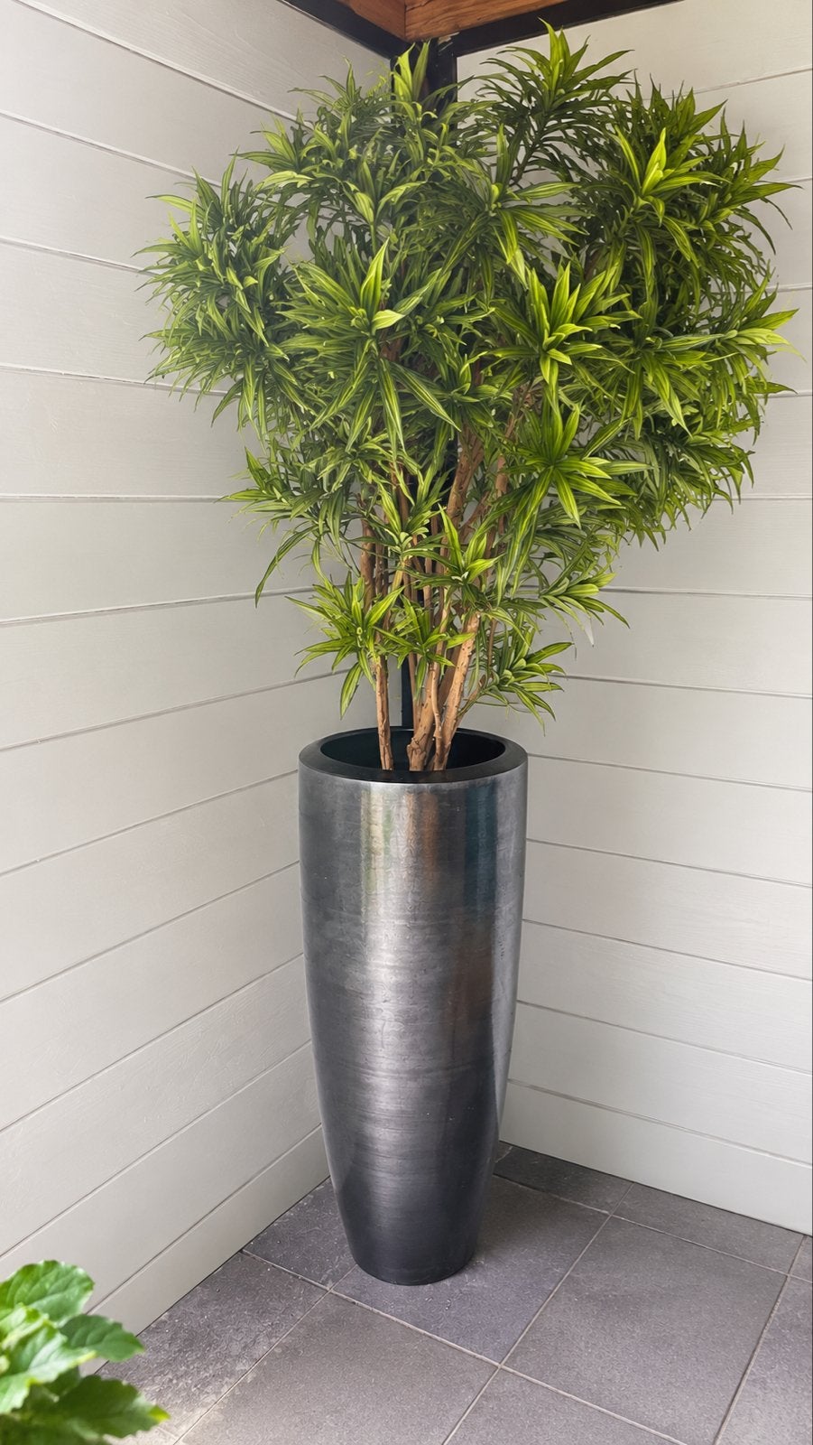 Grote Dracaena Reflexa Jamaica kunstplant met sierpot, Ophalen, Binnen, Groen, Kunstplant