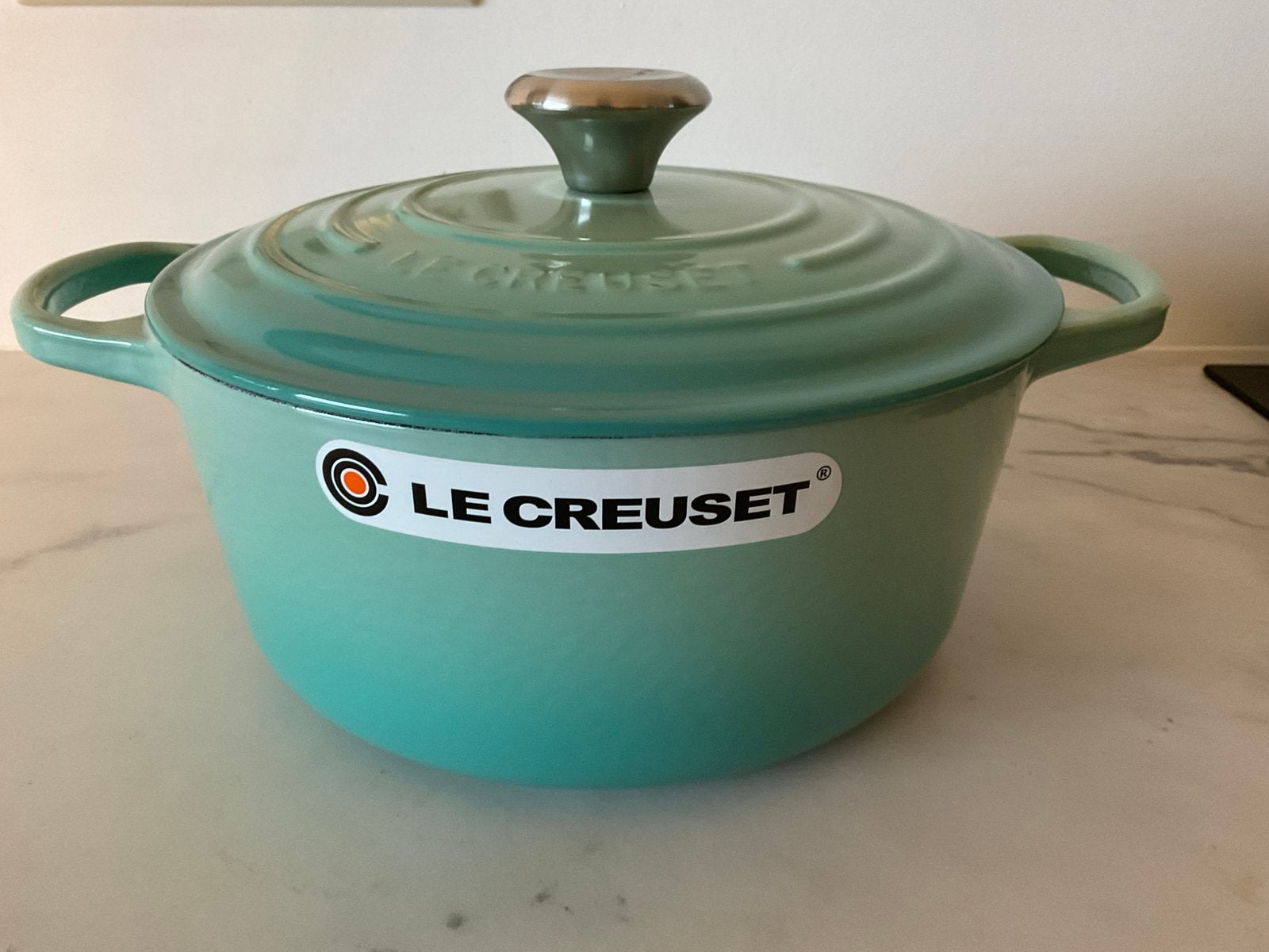 Le Creuset 24 cm pan, zeldzame kleur Cool Mint, 4,2lt, nieuw, Nieuw, Le Creuset, Ophalen of Verzenden, Met handvatten