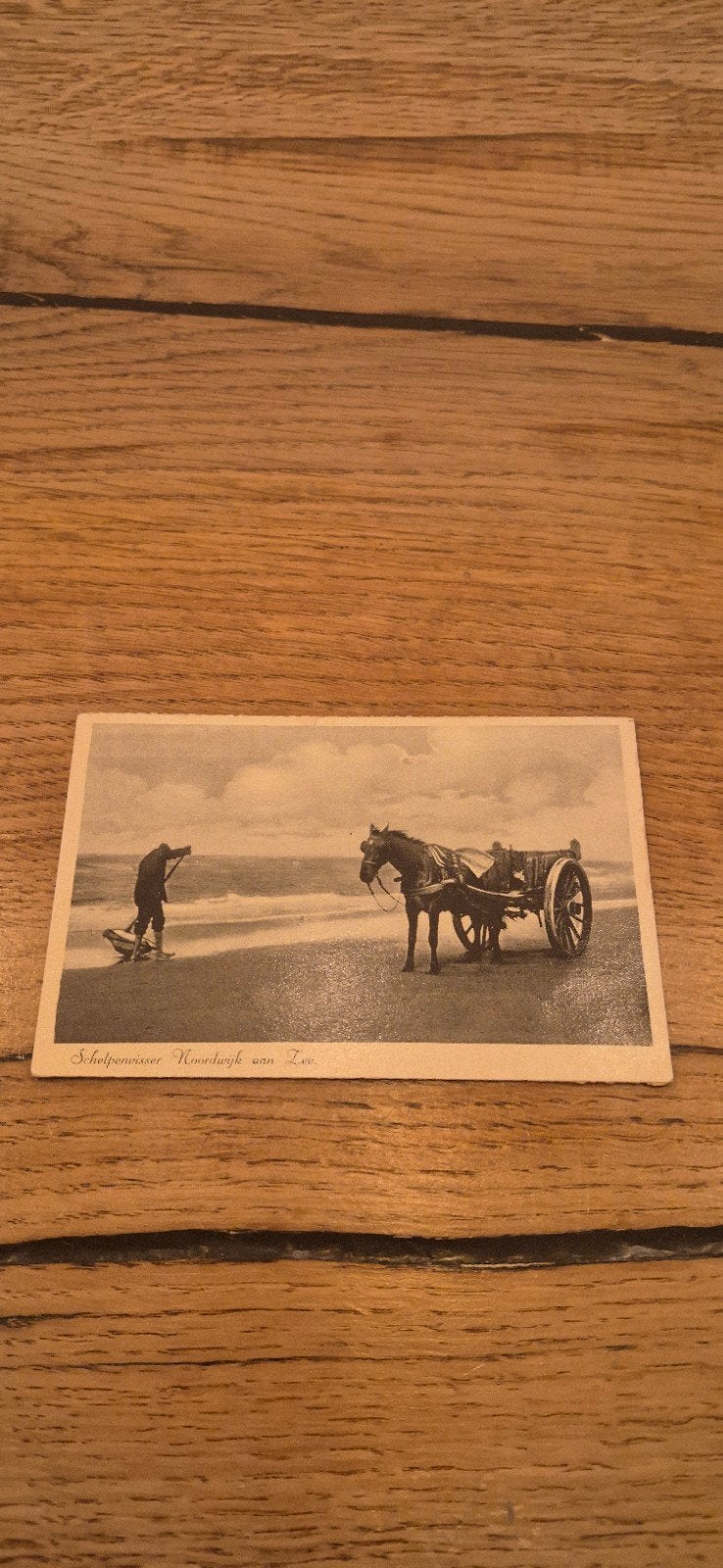 Oude ansichtkaart: Schelpenvisser Noordwijk aan Zee, Ophalen of Verzenden, Zuid-Holland