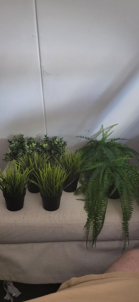 Diverse kunstplanten en varens - set van 8, Huis en Inrichting, Binnen, Onderhoudsvrij, Kunstplant, Ophalen of Verzenden