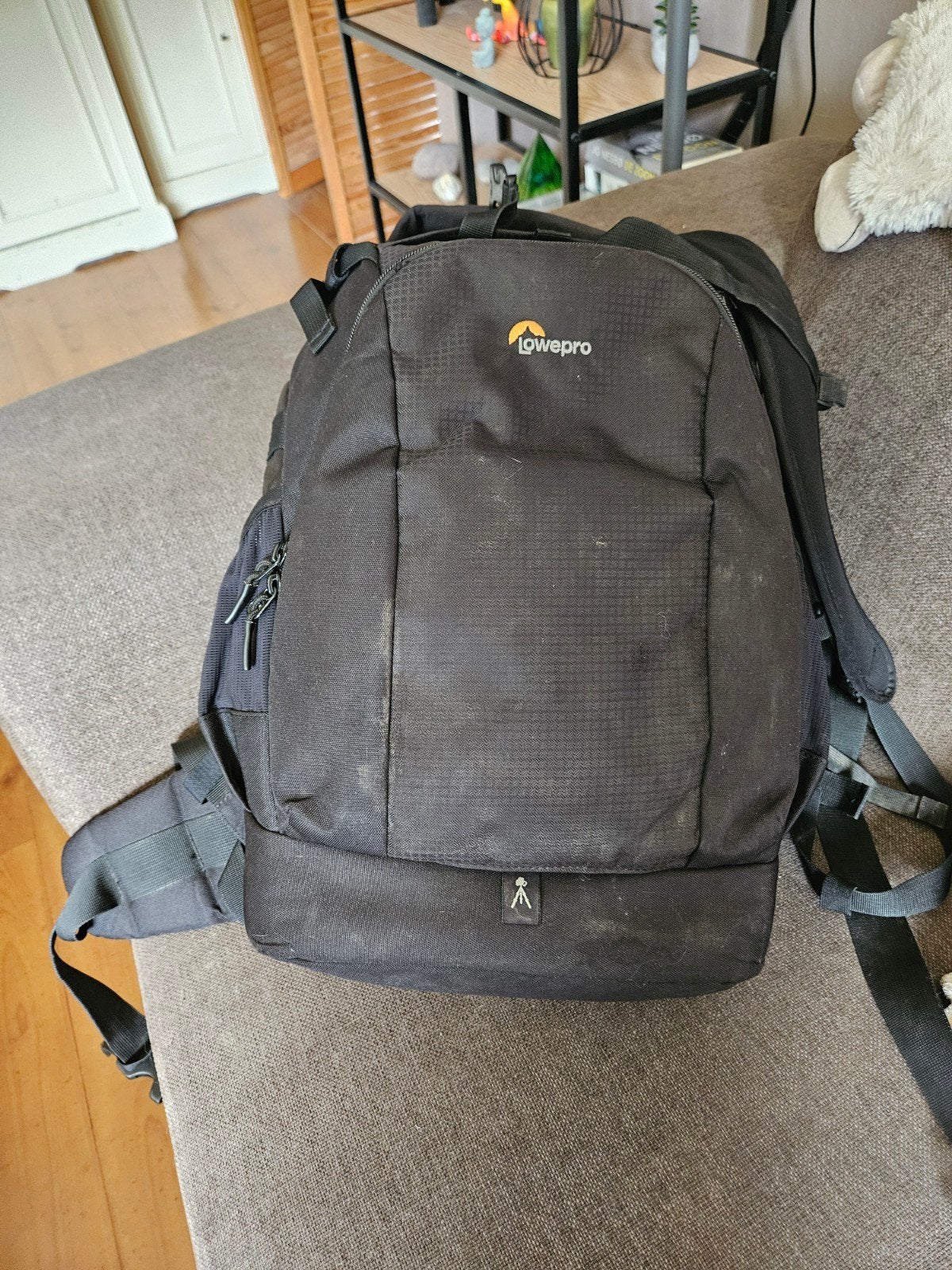 Lowepro foto tas in prijs velaagd, Ophalen, Gebruikt, Rugtas, Lowepro