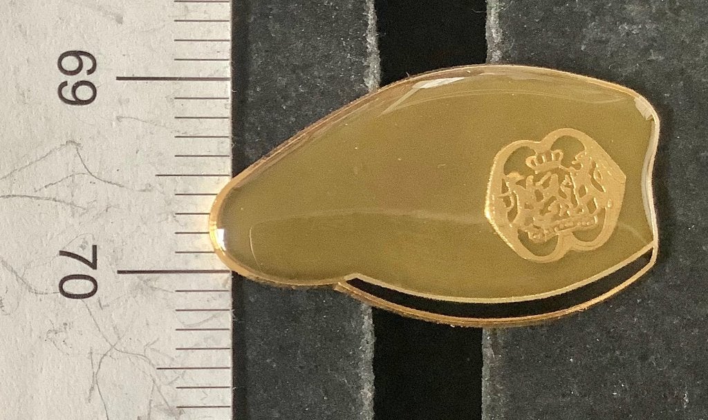 pin, militair, baret Korps Nationale Reserve (R3, Ophalen of Verzenden, Nieuw, Overige onderwerpen, Speldje of Pin