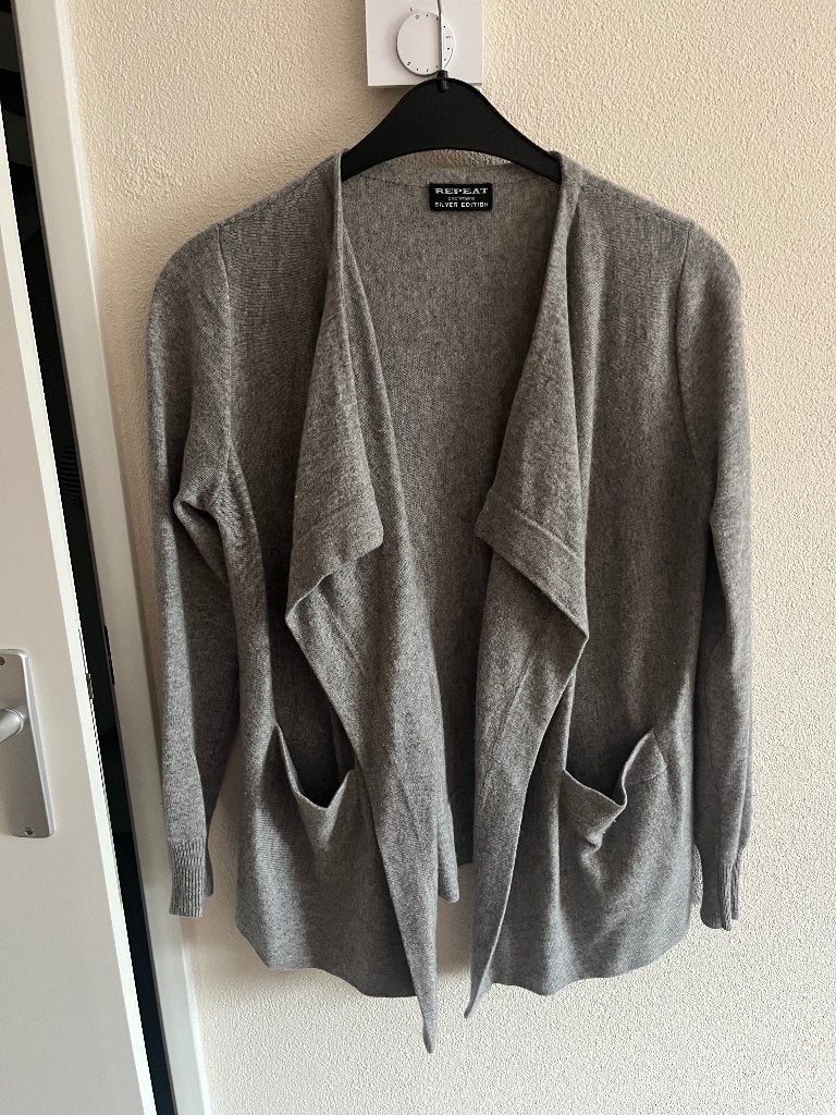 Repeat cashmere vest, Kleding | Dames, Ophalen of Verzenden, Gedragen, Maat 36 (S), Grijs