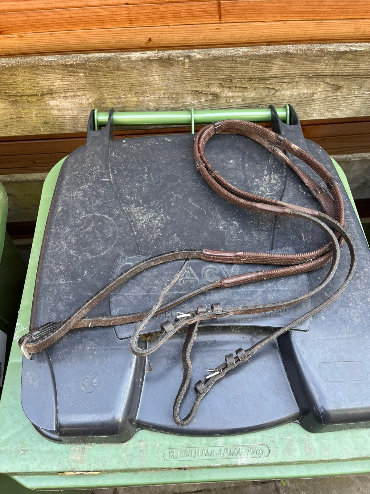 Korte bruine springteugels, Dieren en Toebehoren, Ophalen of Verzenden