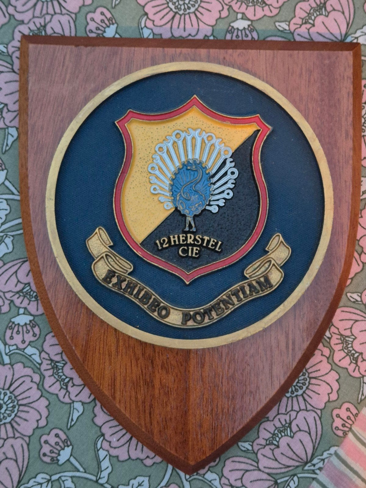 Wapenschild 12 Herstel Cie Herstel Compagnie, Verzenden, Landmacht, Nederland, Embleem of Badge